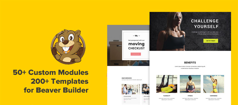 beaver builder review