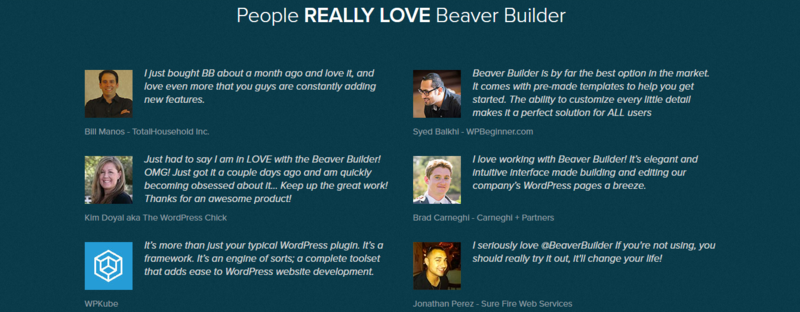 beaver builder reviews