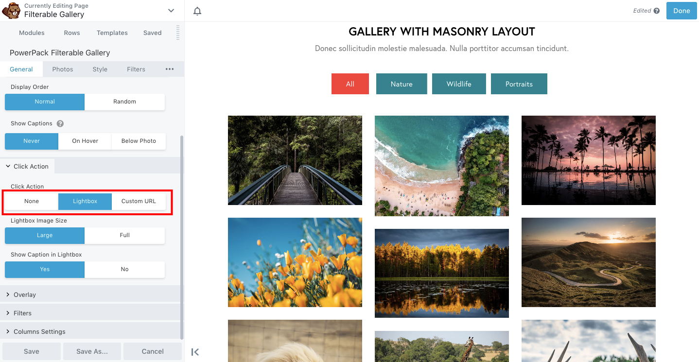 How to Create a Portfolio Section with Filterable Gallery in Beaver Builder