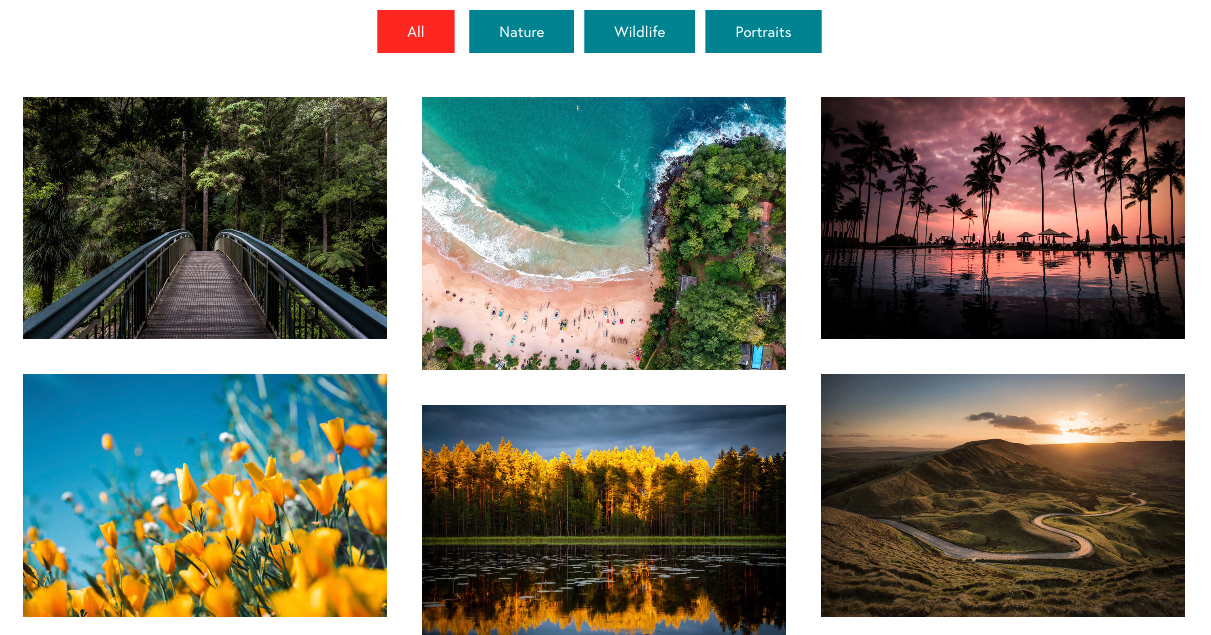 How to Create a Portfolio Section with Filterable Gallery in Beaver Builder